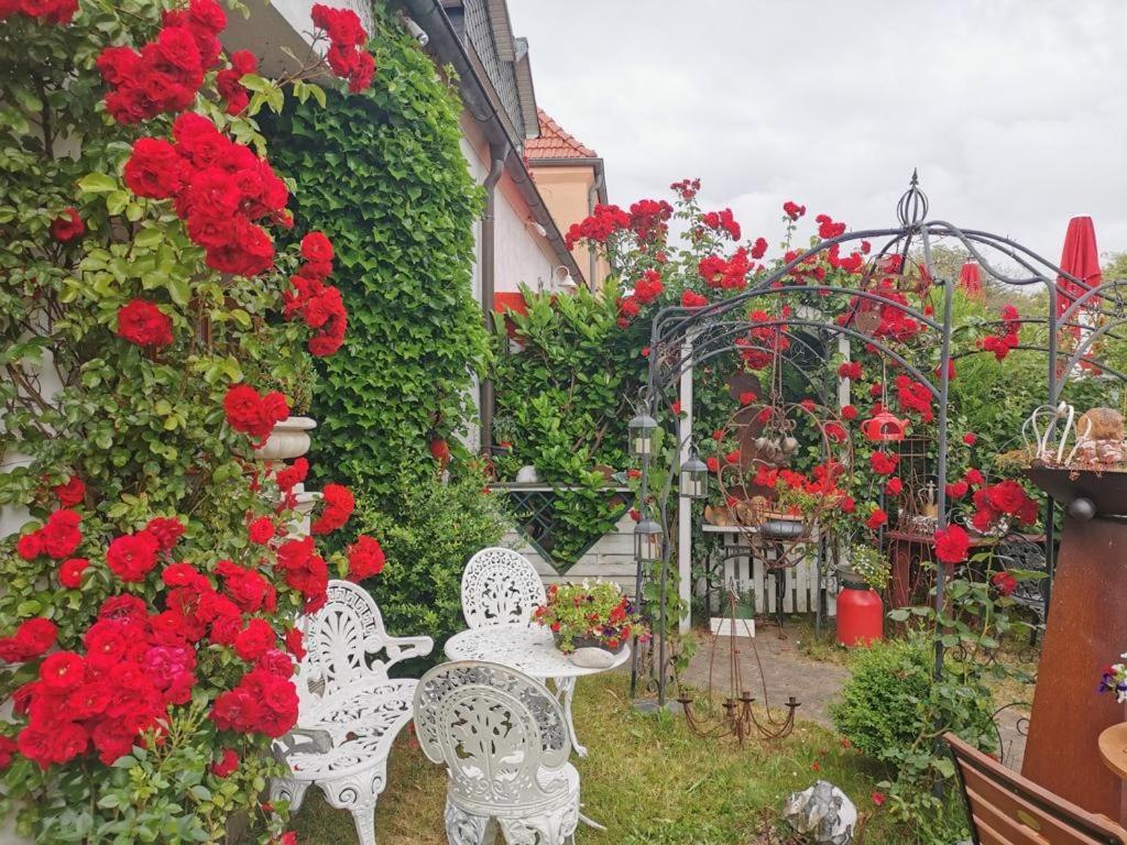Cafesahne U Pension ดรันส์เคอ ภายนอก รูปภาพ