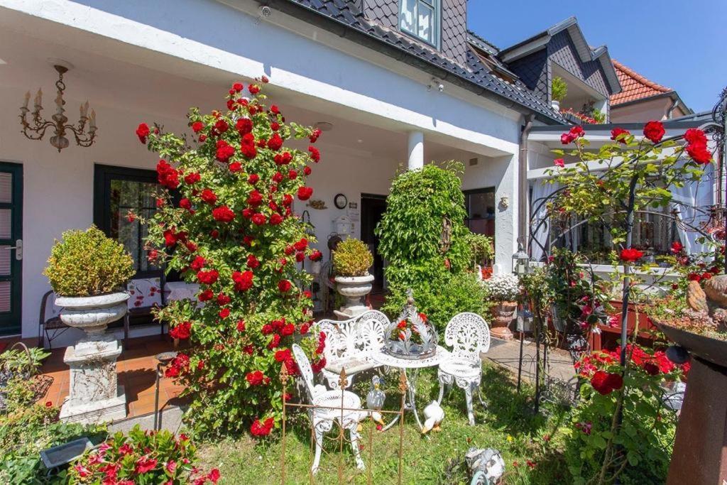 Cafesahne U Pension ดรันส์เคอ ภายนอก รูปภาพ