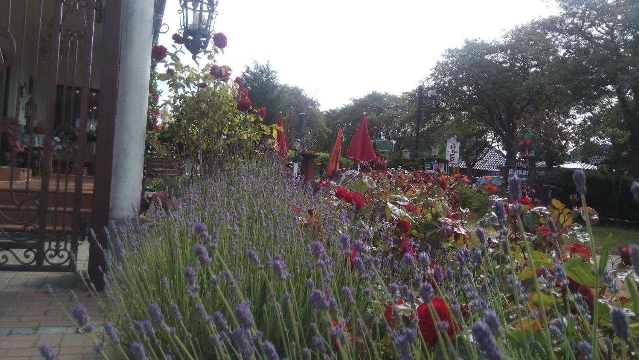 Cafesahne U Pension ดรันส์เคอ ภายนอก รูปภาพ